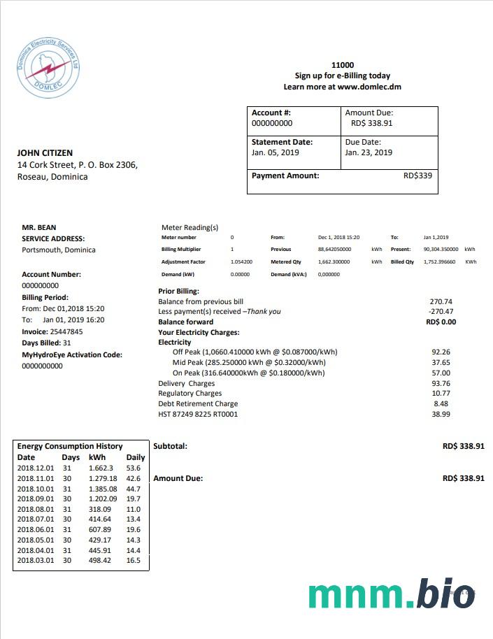 Dominica Electricity Services Limited szablon rachunku za energię elektryczną w formacie Word i PDF